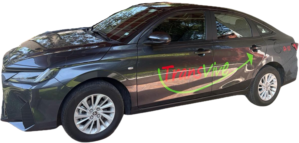 Automovil Transvive